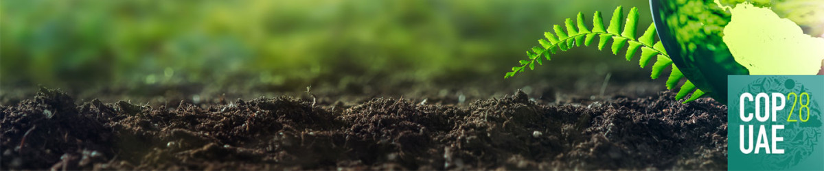 Picture of Earth on a glass ball shape on the ground with moss underneath. Logos of COP28, Climate Repair and University of Cambridge also on it.