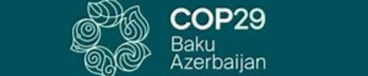 COP29 Banner