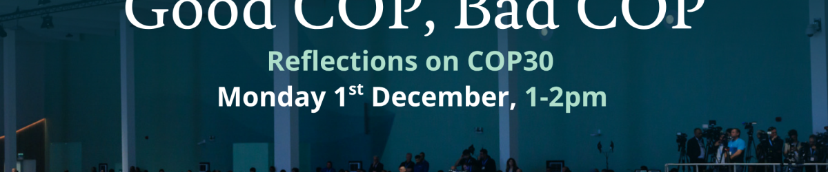 Good COP, Bad COP banner with image of representatives at a COP event