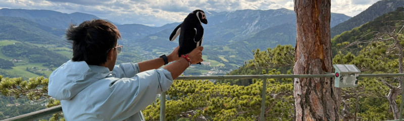 Person holding a toy penguin towards mountains