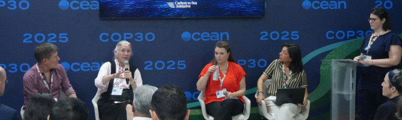 5 panelists seated at COP30