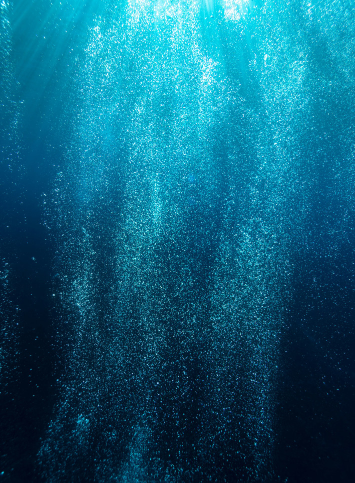 Under the surface of the ocean