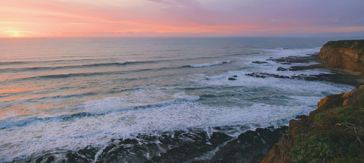 Photo by Jordan McQueen on Unsplash