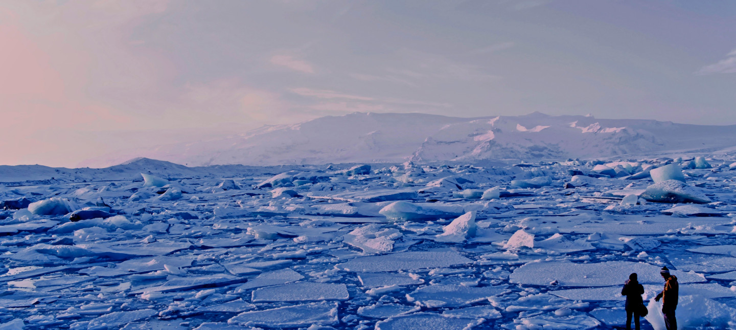 Photo by Roxanne Desgagnés on Unsplash