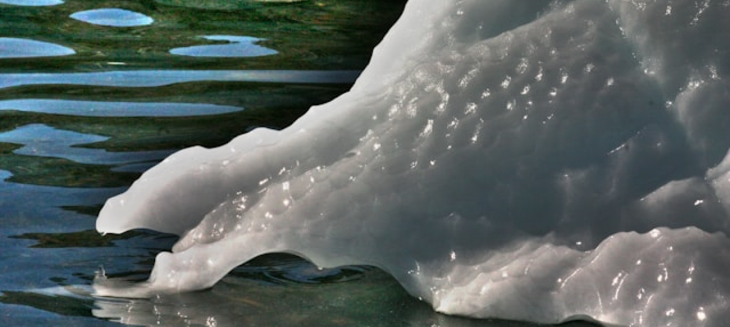 Photo by Naja Bertolt Jensen on Unsplash