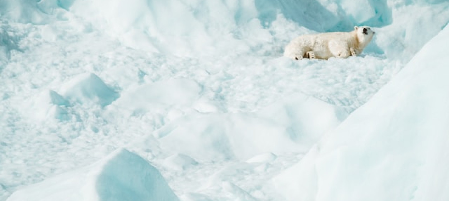 Photo by Annie Spratt on Unsplash