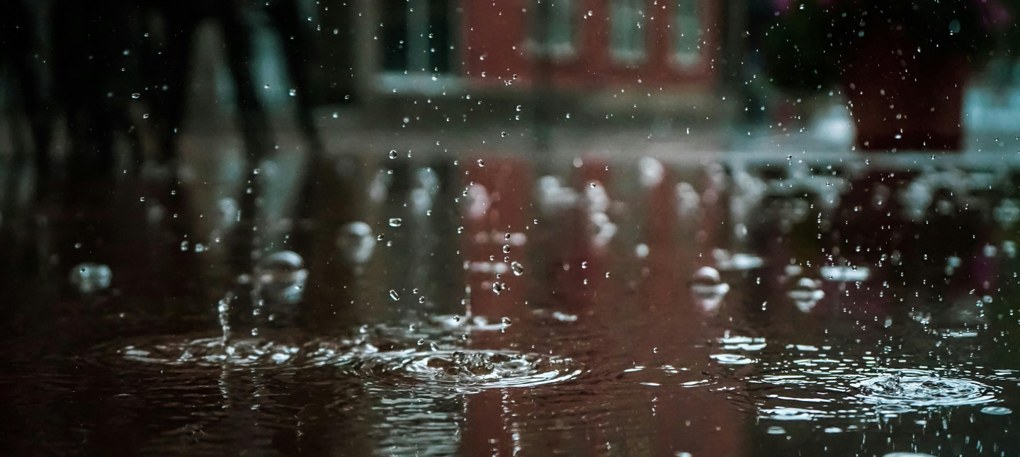 Photo by Vlad Chețan on Free Stock Photo