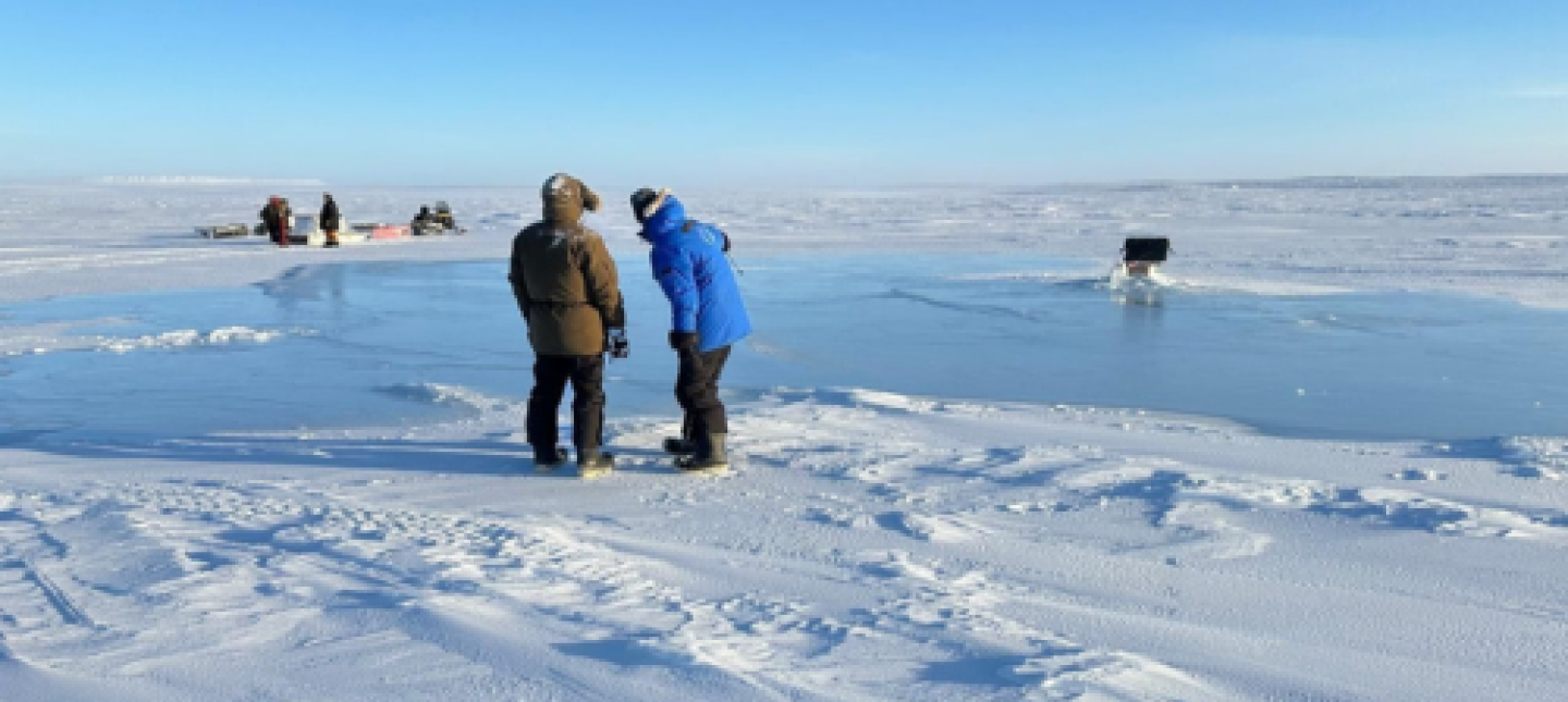Shaun's photo of Real Ice in the Arctic