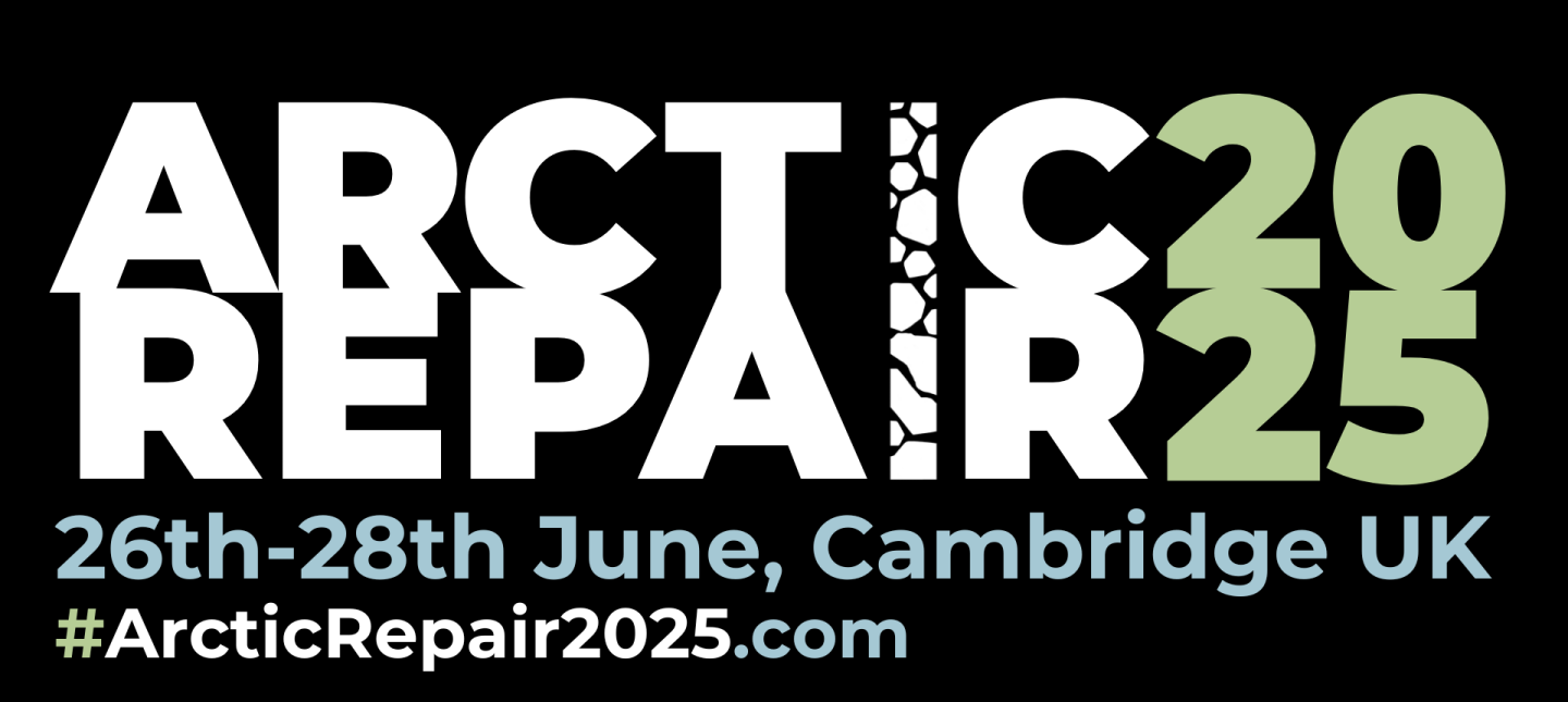 Arctic Repair 2025