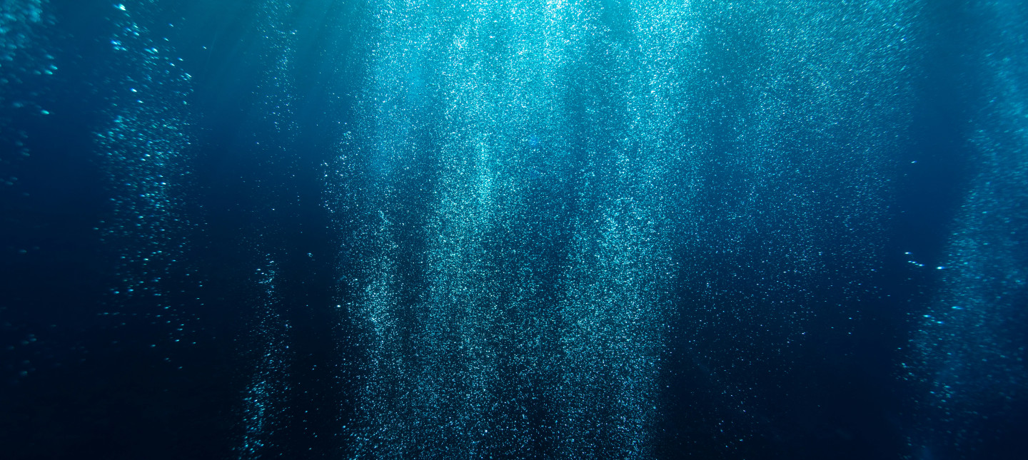 Under the surface of the ocean