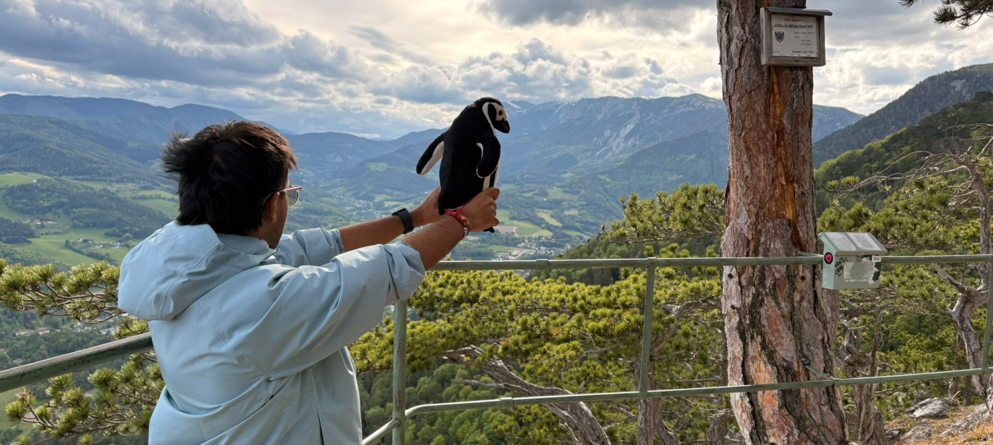 Person holding a toy penguin towards mountains