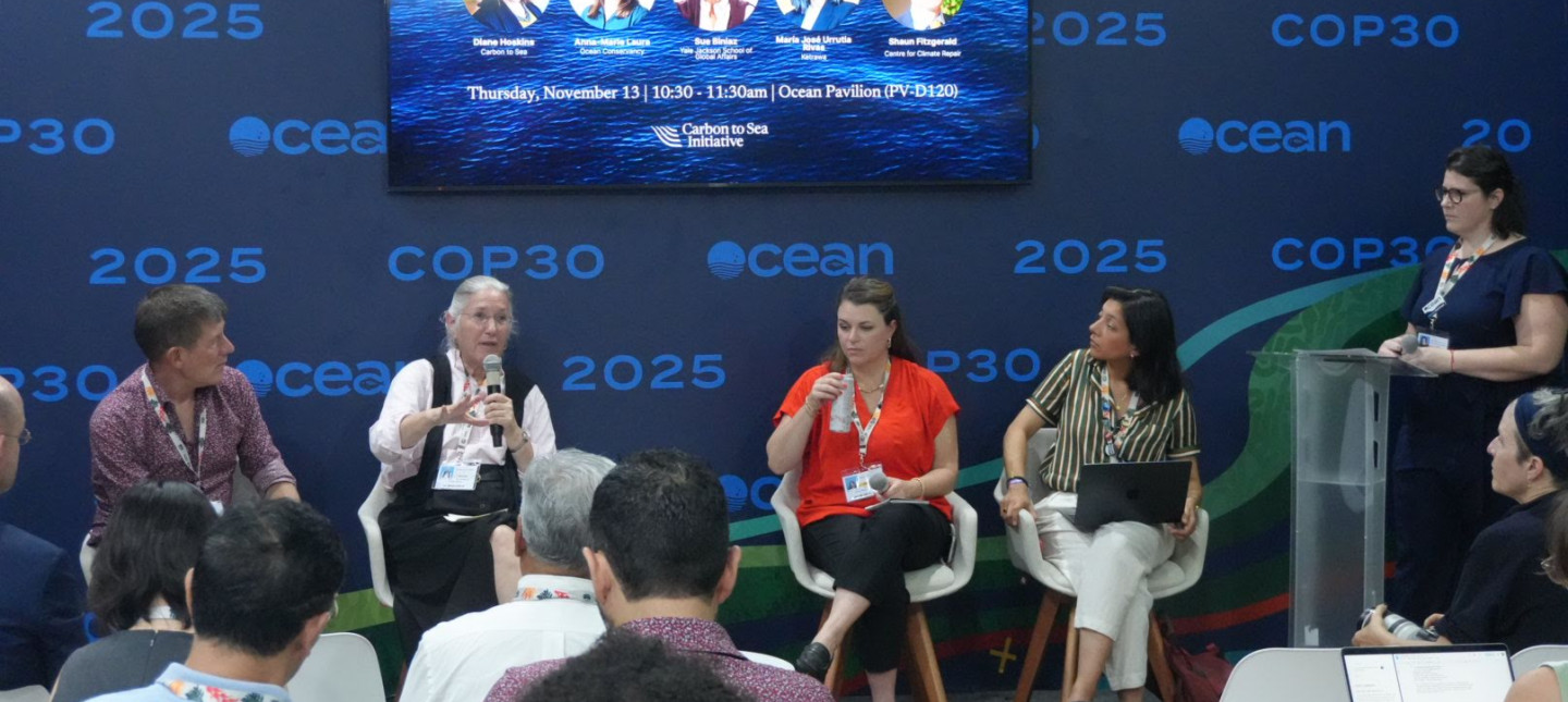 5 panelists seated at COP30