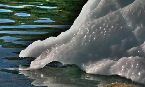 Photo by Naja Bertolt Jensen on Unsplash