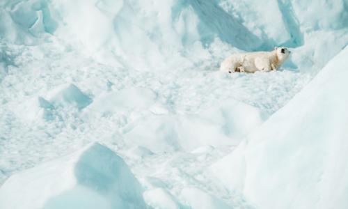 Photo by Annie Spratt on Unsplash