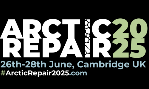 Arctic Repair 2025