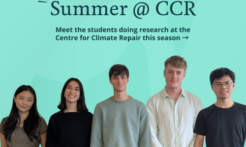 Summer @ CCR image of interns