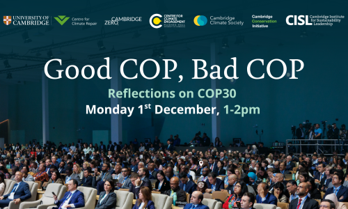 Good COP, Bad COP banner with image of representatives at a COP event