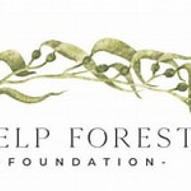 KFF logo