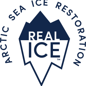 Real Ice logo