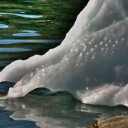 Photo by Naja Bertolt Jensen on Unsplash