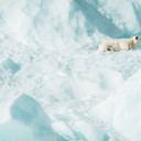 Photo by Annie Spratt on Unsplash