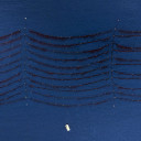 Lines of kelp in the Gota Fjord