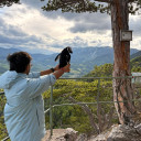 Person holding a toy penguin towards mountains