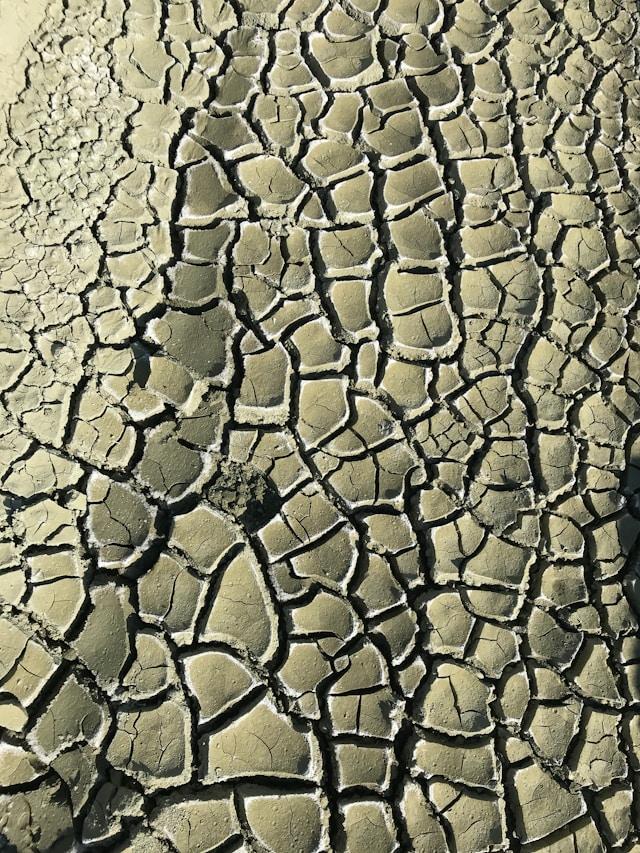 Dry, cracked earth. Free Unsplash photo by Caner Sanli 