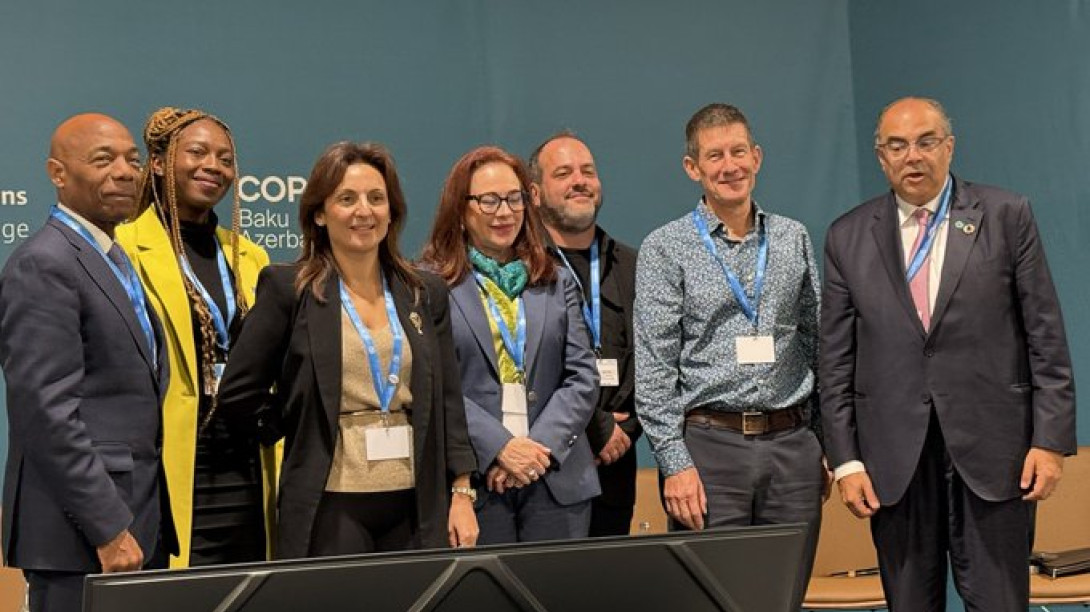 COP29 Panel 15.11.24