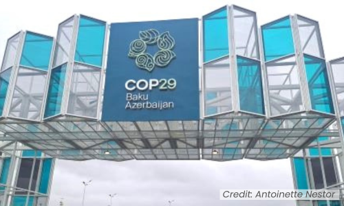 COP29 cover