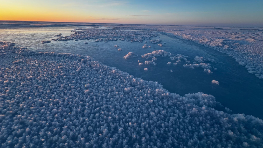 Jacob's picture of Arctic