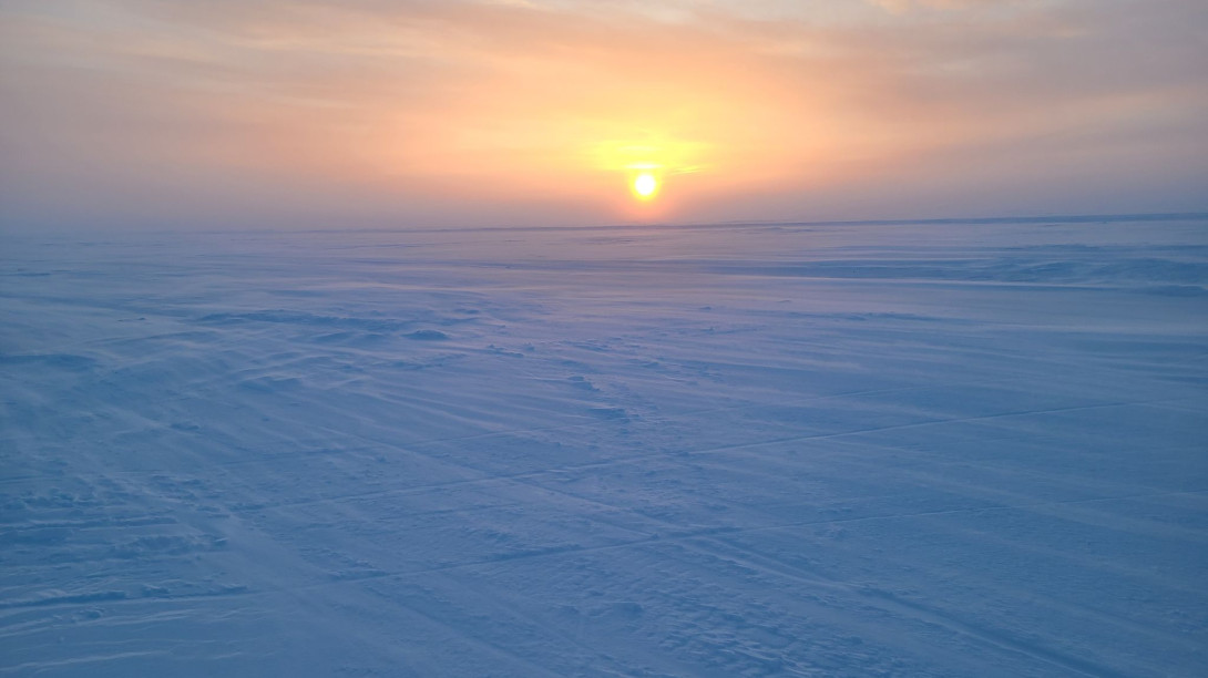 Jacob's picture of Arctic