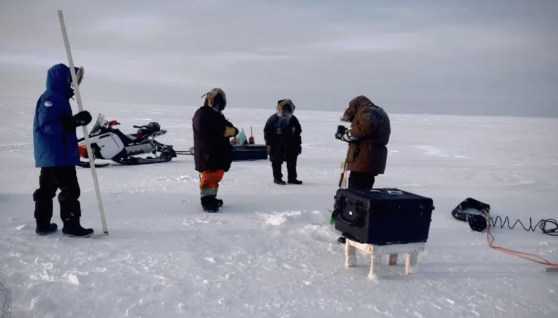 Real Ice photo of working team