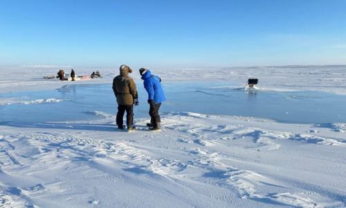 Shaun's photo of Real Ice in the Arctic
