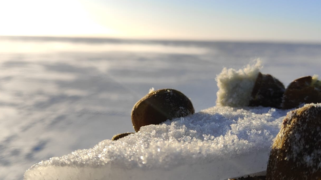 Frost on ice in ice thickening trials