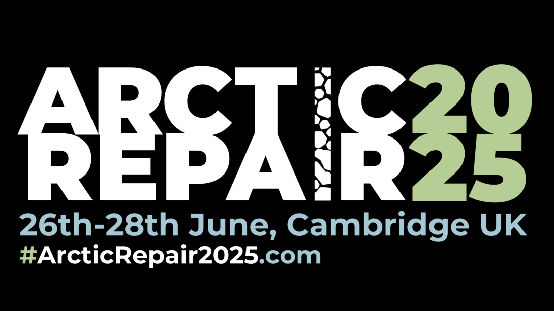 Arctic Repair 2025