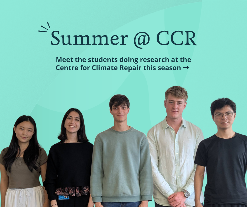 Summer @ CCR image of interns