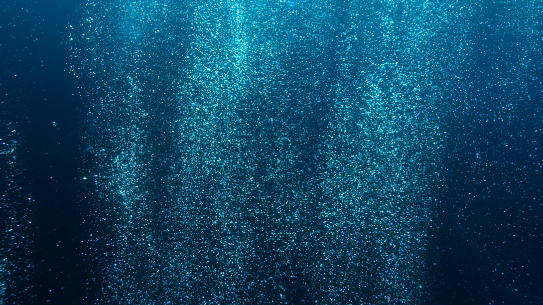 Under the surface of the ocean