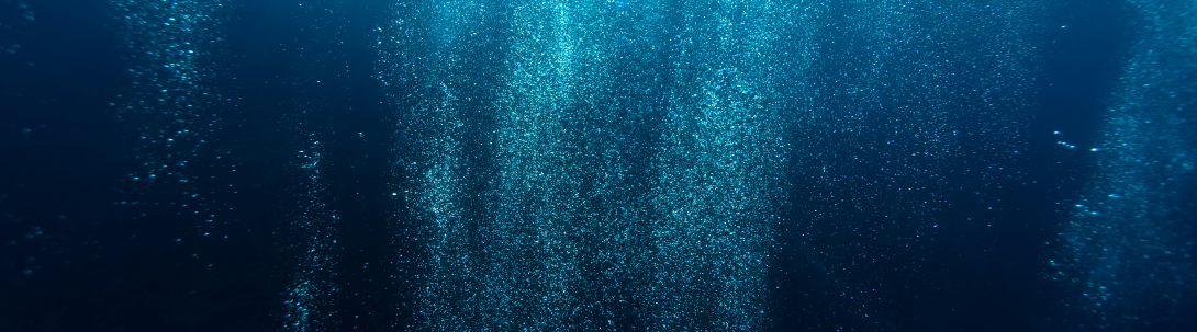 Under the surface of the ocean