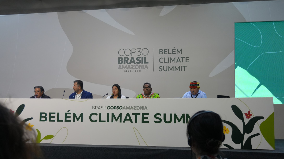Panel at COP30