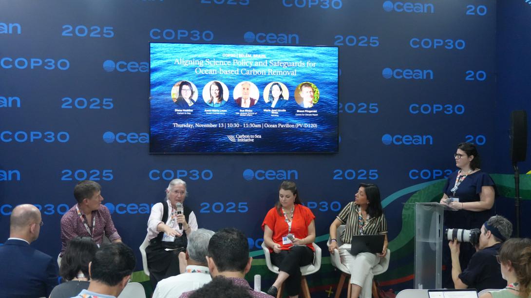 Panel at COP30