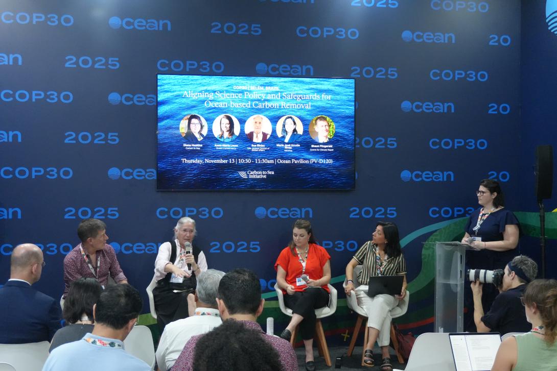 Panel at COP30
