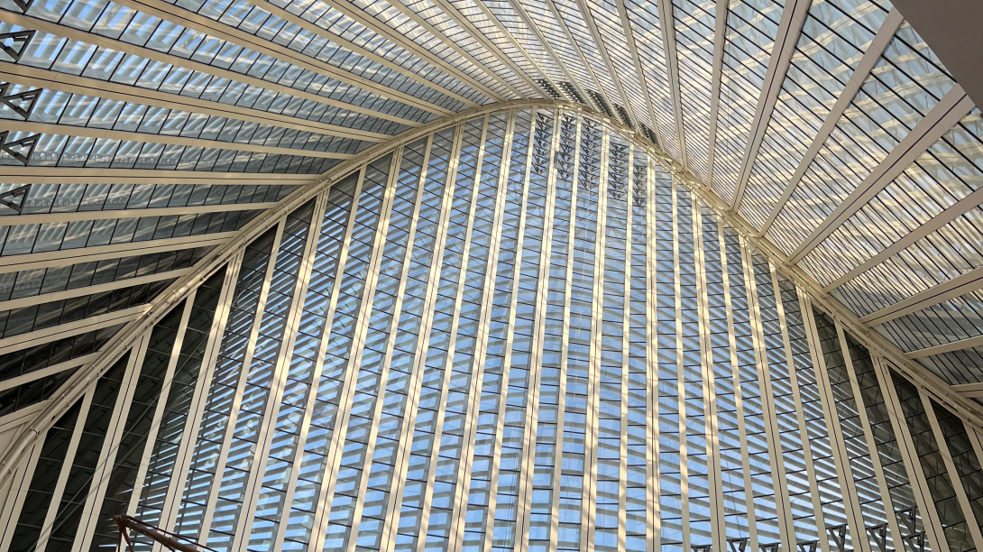 Ceiling of the Zayed National Museum