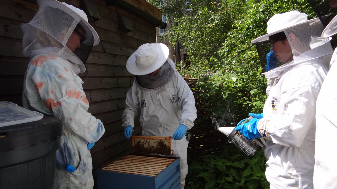 Beekeepers attending to hive